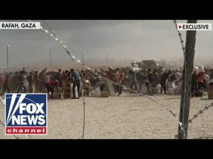 Read more about the article NEW: Bill Hemmer gets exclusive tour of Gaza aid site