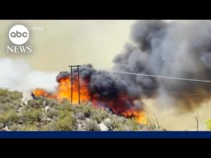 Read more about the article U.S. air quality among world’s worst due to wildfires