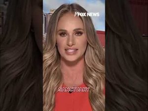 Read more about the article Tomi Lahren: Democrats want to ‘CRY WOLF’ #democrats #shorts #tomilahren #texas