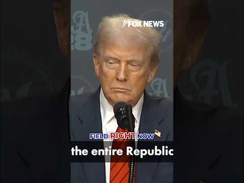 You are currently viewing Trump: Vance would be ‘probably favored’ in 2028 #shorts #trump #vance #politics #news