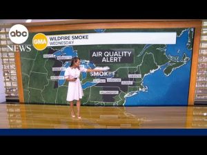 Read more about the article How long will toxic smoke from Canadian wildfires last?