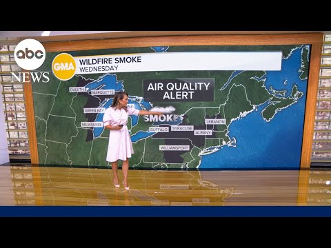 You are currently viewing How long will toxic smoke from Canadian wildfires last?