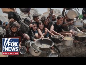 Read more about the article ‘HUMAN TIDAL WAVE’: Desperate Gazans swarm aid site