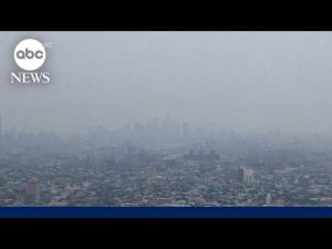 Read more about the article Air quality alerts issued in US for third day due to Canada wildfires