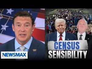 Read more about the article Carl Higbie: Dems ‘imported’ illegal immigrants to build their districts