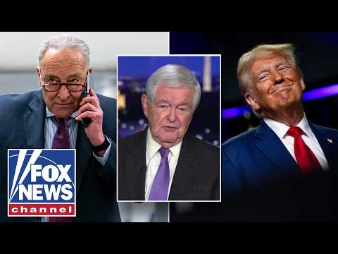 You are currently viewing ‘NO SOLUTIONS!’: Gingrich shares evidence of Dems’ ‘gloom’ to Trump’s BOOM