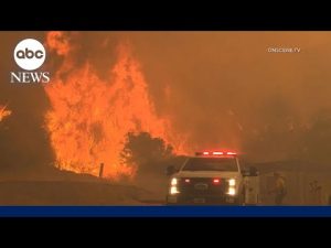 Read more about the article Wildfires explode in the West, millions in grip of extreme heat