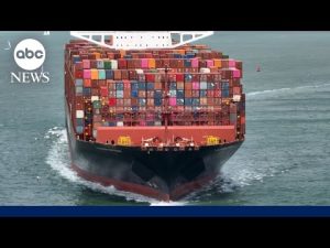 Read more about the article Fallout from Trump trade war as tariffs go into effect