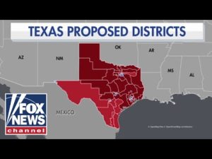 Read more about the article Texas Dems given deadline to return or be REPLACED over redistricting fight