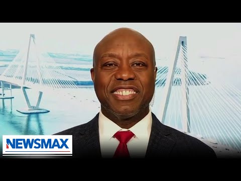 You are currently viewing My faith was questioned over my support of Trump: Sen. Tim Scott | National Report