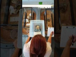 Read more about the article TINY BUT MIGHTY: Horned lizards begin hatching at Fort Worth Zoo #shorts #usa #us #news #animal