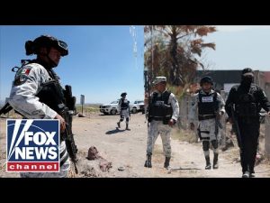 Read more about the article CARTEL WAR: All of America can ‘justify’ what Trump does to drug cartels, Army veteran argues