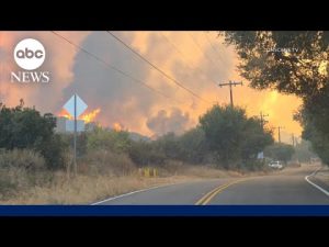 Read more about the article Thousands under evacuation orders due to fires in California