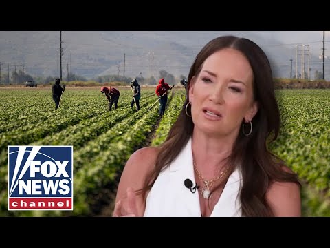You are currently viewing Farmers built this country, says agriculture secretary