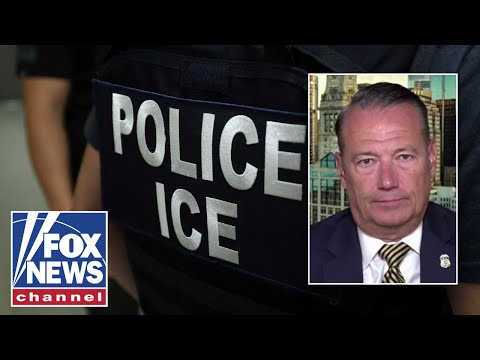 You are currently viewing ‘We need these extra officers:’ Trump admin stresses the importance of ICE recruitment efforts