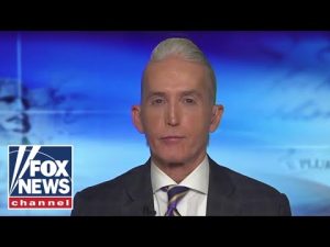 Read more about the article Trey Gowdy: Texas Democrats go AWOL