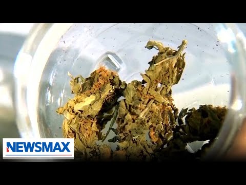 You are currently viewing Illegal marijuana farms in the U.S. may have ties to the Communist Party in China