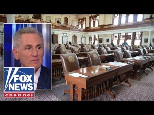 Read more about the article ‘HYPOCRISY’: Kevin McCarthy calls out Dems argument for anti-redistricting