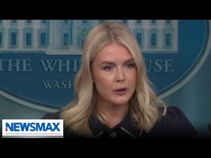 Read more about the article Karoline Leavitt: It’s despicable that Democrats don’t want law and order