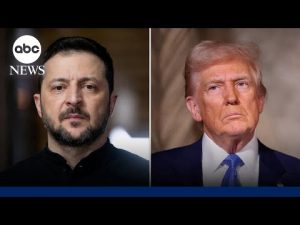 Read more about the article Trump, Vance to meet virtually with Zelenskyy ahead of Putin summit