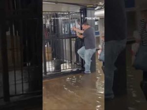 Read more about the article SWAMPED!: Severe storms cause major flooding in NYC subways #foxnews #news #shorts