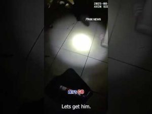 Read more about the article WATCH: Officers drag man from burning home in dramatic rescue #shorts #firerescue #florida #tampa