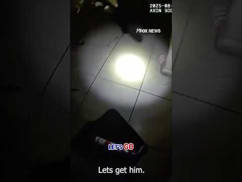 You are currently viewing WATCH: Officers drag man from burning home in dramatic rescue #shorts #firerescue #florida #tampa