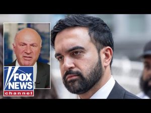 Read more about the article Kevin O’Leary calls Zohran Mamdani ‘full of BS’
