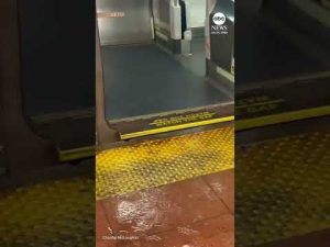 Read more about the article Flooding in New York City’s metro on Hudson line