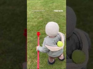 Read more about the article WATCH: Toddler, dog STUNNED during fetch after ball ‘disappears’ #shorts #foxnews #news #viral