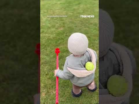 You are currently viewing WATCH: Toddler, dog STUNNED during fetch after ball ‘disappears’ #shorts #foxnews #news #viral
