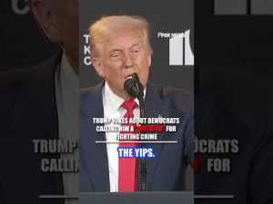 Read more about the article ‘They’ve got the yips’: Trump calls out Dems #shorts #usa #us #news #trump