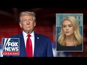 Read more about the article Leavitt: They will NEVER admit Trump is right about this