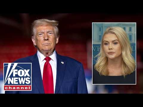 You are currently viewing Leavitt: They will NEVER admit Trump is right about this