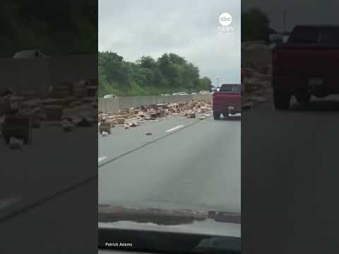 You are currently viewing Hot dog spill shuts down highway in commuters’ wurst nightmare