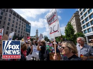 Read more about the article ‘Who’s paying for these protests?’: Dems accused of ‘phony’ opposition