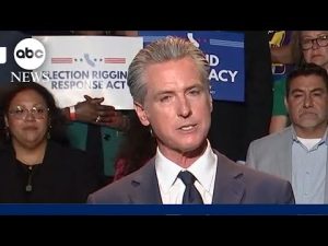 Read more about the article Gov. Newsom says ICE agents were outside of his press conference: ‘Do you think it’s coincidental?’