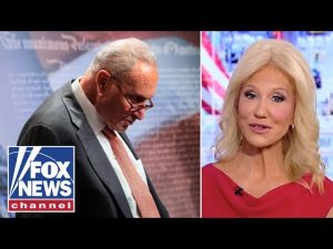 Read more about the article ‘PROFOUNDLY STUPID’: Liberal pundits unload on Dems’ denial