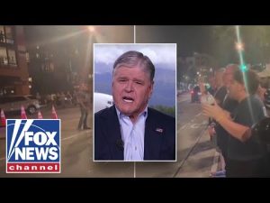 Read more about the article Watch these ‘DERANGED’ protesters yell at fed agents in DC: Hannity