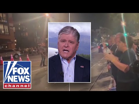You are currently viewing Watch these ‘DERANGED’ protesters yell at fed agents in DC: Hannity