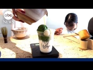 Read more about the article Japan’s matcha industry faces uncertainty amid Trump’s tariffs