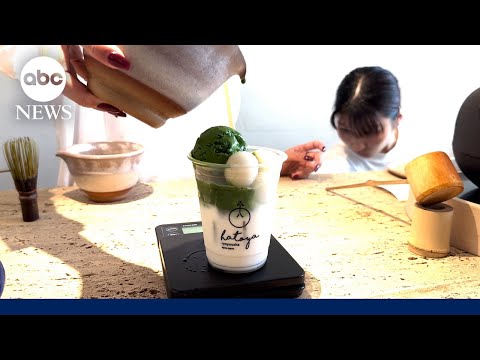 You are currently viewing Japan’s matcha industry faces uncertainty amid Trump’s tariffs