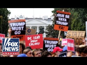 Read more about the article Crowd company CEO spills on paid protester boom in Trump era