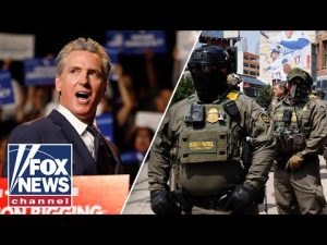 Read more about the article Newsom MELTS DOWN after Border Patrol rains on parade