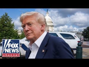 Read more about the article Trump’s DC police takeover may be a ‘temporary fix,’ DC police union chairman warns