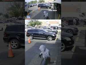 Read more about the article BRINK’S TRUCK HEIST: Thieves vanish with MASSIVE cash haul #shorts #foxnews #news #us #fox #robbery