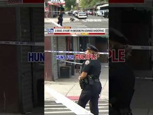 Read more about the article At least 3 dead, 8 injured in Brooklyn lounge shooting #shorts #crime #news #us #foxnews
