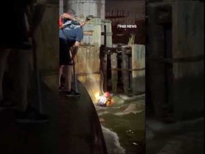 Read more about the article JARRING footage shows firefighter saving person pinned against bridge #foxnews #news #shorts