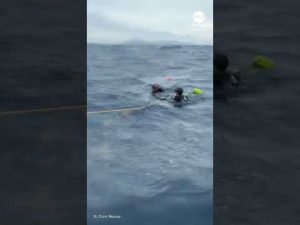 Read more about the article Hurricane Erin restrengthens into Category 4 storm