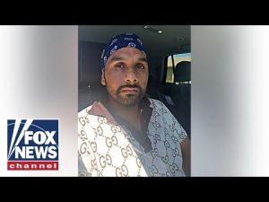 Read more about the article DETAILS: Illegal migrant trucker released on bond after deadly Florida crash